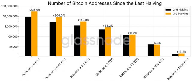 Glassnode statistik